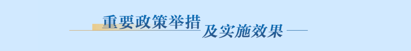 重要政策舉措及實施效果專題